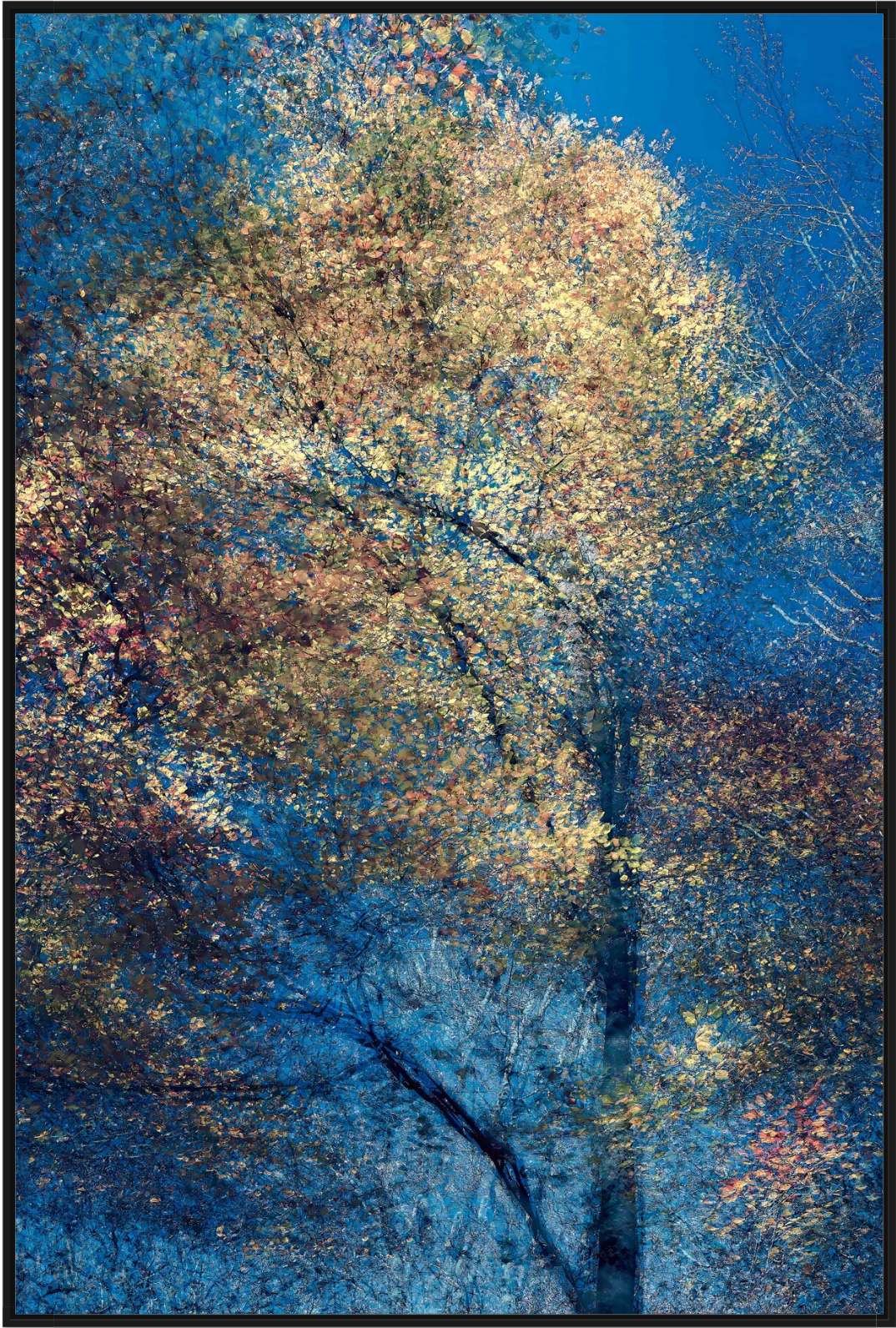 Phantom Structures: Energy of Light and Color #1